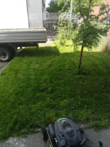 IMG_20260618_125535