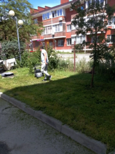 IMG_20260618_142945