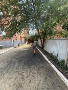 IMG_20260730_140347
