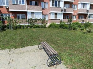 IMG_20260730_145931