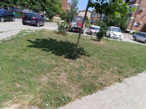 IMG_20260730_145937