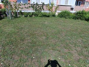 IMG_20261013_161836