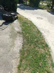 IMG_20261013_161931