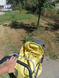 IMG_20261013_161948