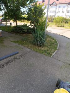 IMG_20261013_161951