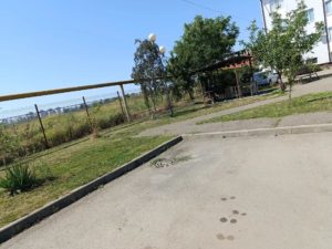 IMG_20261013_162009