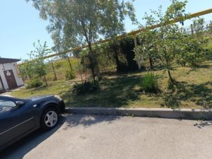 IMG_20261013_162012