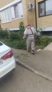 IMG_20261014_150142
